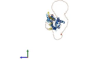 AlphaFold protein structure predicition of Human Recombinant CHRM2 Protein, UniprotID P08172 (Muscarinic Acetylcholine Receptor M2 Protein (AA 1-466) (His tag))