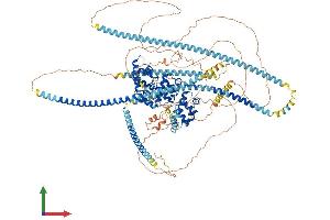 Protein Structure (PS) image for Protein tyrosine Phosphatase, Receptor Type, F Polypeptide (PTPRF), Interacting Protein (Liprin), alpha 4 (PPFIA4) (AA 1-1185) protein (His tag) (ABIN7554425)