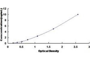 Typical standard curve (MELK ELISA 试剂盒)