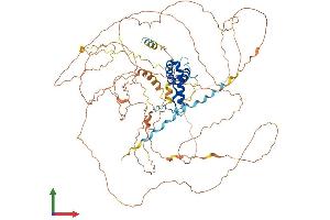 Protein Structure (PS) image for SRY (Sex Determining Region Y)-Box 30 (SOX30) (AA 1-782) protein (His tag) (ABIN7559330)