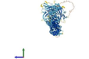 AlphaFold protein structure predicition of Mouse Recombinant Hps3 Protein, UniprotID Q91VB4