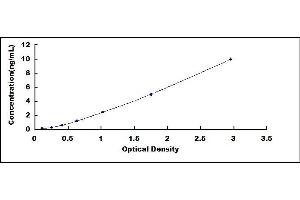 Typical standard curve (CCL2 ELISA 试剂盒)