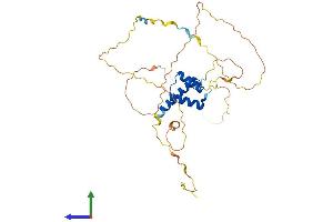 Protein Structure (PS) image for Homeobox D1 (HOXD1) (AA 1-328) protein (His tag) (ABIN7548465)
