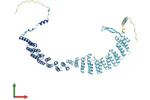 Protein Structure (PS) image for Crooked Neck Pre-mRNA Splicing Factor-Like 1 (CRNKL1) (AA 1-690) protein (His tag) (ABIN7556648)