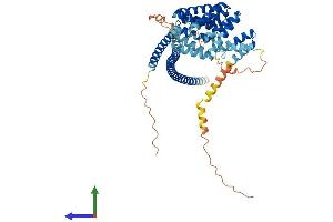 Protein Structure (PS) image for Kinesin Light Chain 1 (KLC1) (AA 1-541) protein (His tag) (ABIN7562603)