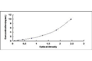 Typical standard curve (GRIA2 ELISA 试剂盒)
