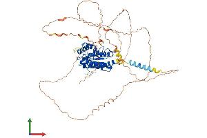 AlphaFold protein structure predicition of Mouse Recombinant Tor1aip1 Protein, UniprotID Q921T2