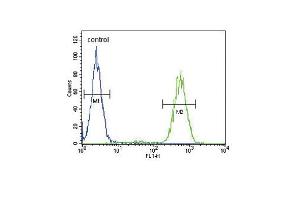 Flow Cytometry (FACS) image for anti-Solute Carrier Family 25, Member 37 (SLC25A37) (AA 309-338), (C-Term) antibody (ABIN653670)
