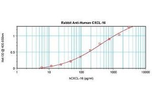 Image no. 2 for anti-Chemokine (C-X-C Motif) Ligand 16 (CXCL16) antibody (ABIN1497687) (CXCL16 抗体)