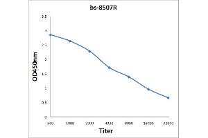 Antigen: 2 µg/100 µL Primary: Antiserum, 1:500, 1:1000, 1:2000, 1:4000, 1:8000, 1:16000, 1:32000; Secondary: HRP conjugated Rabbit Anti-Goat IgG at 1: 5000; TMB staining Read the data in Microplate Reader by 450nm. (Hairless 抗体  (AA 345-460))