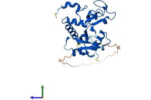 Protein Structure (PS) image for Polycomb Group Ring Finger 3 (PCGF3) (AA 1-241) protein (His tag) (ABIN7558879)