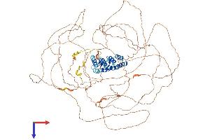 AlphaFold protein structure predicition of Human Recombinant PROSER1 Protein, UniprotID Q86XN7 (PROSER1 Protein (AA 1-944) (His tag))
