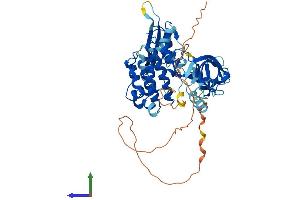 AlphaFold protein structure predicition of Mouse Recombinant Txk Protein, UniprotID P42682 (TXK Protein (AA 1-527) (His tag))