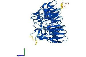 Protein Structure (PS) image for Kelch Domain Containing 8B (KLHDC8B) (AA 1-354) protein (His tag) (ABIN7560910)