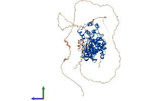 Protein Structure (PS) image for CLK3 (CLK3) (AA 1-638) protein (His tag) (ABIN7562330)