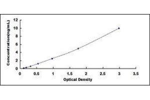 Cathepsin G (CTSG) ELISA Kit