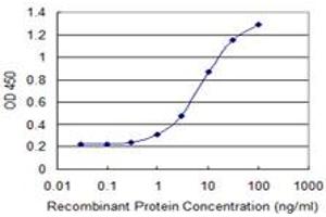 Detection limit for recombinant GST tagged ZNF34 is 0. (ZNF34 抗体  (AA 104-203))