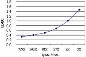 Sandwich ELISA detection sensitivity ranging from approximately 243x to 3x dilution of the FAP 293T overexpression lysate (non-denatured).