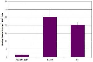 SIN3A antibody (pAb) tested by ChIP. (SIN3A 抗体  (N-Term))