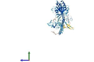 Protein Structure (PS) image for Tripartite Motif Containing 23 (TRIM23) (AA 1-574) protein (His tag) (ABIN7558590)
