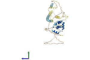 Protein Structure (PS) image for BSD Domain Containing 1 (BSDC1) (AA 1-427) protein (His tag) (ABIN7558430)