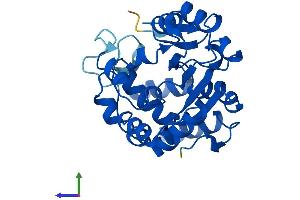 Protein Structure (PS) image for Sulfotransferase Family, Cytosolic, 2A, Dehydroepiandrosterone (DHEA)-Preferring, Member 1 (SULT2A1) (AA 1-285) protein (His tag) (ABIN7546472)