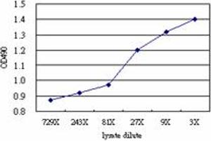 Sandwich ELISA detection sensitivity ranging from approximately 27x to 3x dilution of the DSC2 293T overexpression lysate (non-denatured).