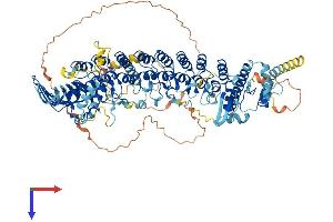 Protein Structure (PS) image for Ankyrin Repeat and MYND Domain Containing 1 (ANKMY1) (AA 1-941) protein (His tag) (ABIN7552154)