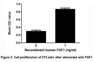 FGF1 (Fibroblast growth factor 1) is a member of FGF family, which plays an important role in the regulation of cell survival, cell division, angiogenesis, cell differentiation and cell migration.