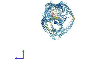Protein Structure (PS) image for Structural Maintenance of Chromosomes 4 (SMC4) (AA 1-1288) protein (His tag) (ABIN7555577)