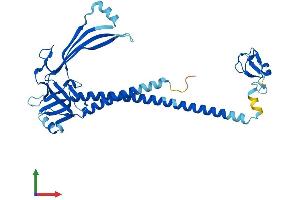 Protein Structure (PS) image for Mitochondrial E3 Ubiquitin Protein Ligase 1 (MUL1) (AA 1-352) protein (His tag) (ABIN7554643)