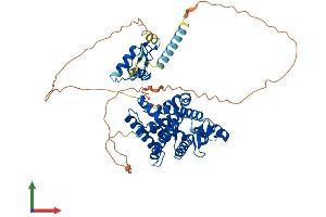 AlphaFold protein structure predicition of Mouse Recombinant Rora Protein, UniprotID P51448 (RORA Protein (AA 1-523) (His tag))