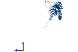 Protein Structure (PS) image for ATG16 Autophagy Related 16-Like 1 (ATG16L1) (AA 1-607) protein (His tag) (ABIN7559073)