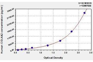 Typical standard curve (COL4a2 ELISA 试剂盒)