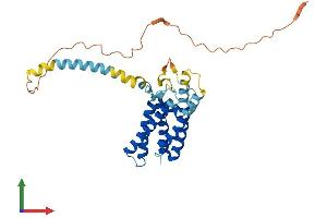 Protein Structure (PS) image for Yip1 Interacting Factor Homolog B (YIF1B) (AA 1-314) protein (His tag) (ABIN7545216)