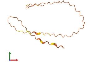 AlphaFold protein structure predicition of Human Recombinant KRTAP12-3 Protein, UniprotID P60328