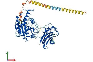 Protein Structure (PS) image for Mannosyl (Alpha-1,3-)-Glycoprotein beta-1,4-N-Acetylglucosaminyltransferase, Isozyme C (MGAT4C) (AA 1-478) protein (His tag) (ABIN7554541)