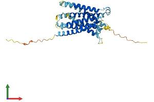 Protein Structure (PS) image for MAS-Related GPR, Member D (MRGPRD) (AA 1-321) protein (His tag) (ABIN7560135)