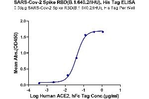 ELISA image for SARS-CoV-2 Spike (B.1.640), (RBD) protein (His tag) (ABIN7274871)