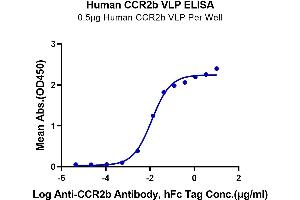 Immobilized Human CCR2b VLP at 5 μg/mL (100 μL/Well) on the plate. (CCR2 Protein-VLP (AA 1-360))