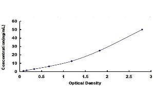 Typical standard curve (PI4KA ELISA 试剂盒)