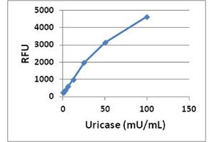 Uricase Standard Curve.