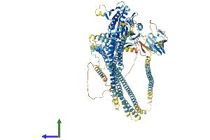 Protein Structure (PS) image for Kinesin Family Member 16B (KIF16B) (AA 1-1317) protein (His tag) (ABIN7554374)