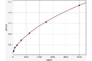 Typical standard curve (CCR4 ELISA 试剂盒)