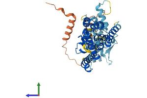 Protein Structure (PS) image for Rhomboid, Veinlet-Like 3 (RHBDL3) (AA 1-404) protein (His tag) (ABIN7556531)