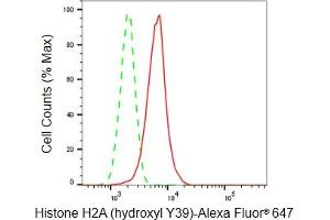 Flow cytometric analysis of Histone H2A (hydroxyl Y39) expression in HepG2 cells using Histone H2A (hydroxyl Y39) antibody (ABIN7798941), 1:2,000).