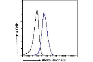 (ABIN5539467) Flow cytometric analysis of paraformaldehyde fixed HeLa cells (blue line), permeabilized with 0. (Aryl Hydrocarbon Receptor 抗体  (Internal Region))