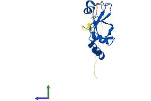 Protein Structure (PS) image for Sulfiredoxin 1 (SRX1) (AA 1-136) protein (His tag) (ABIN7561157)