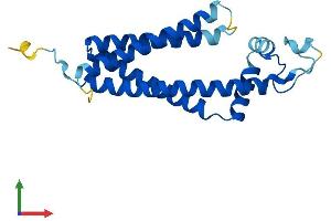 Protein Structure (PS) image for Tetraspanin 13 (TSPAN13) (AA 1-204) protein (His tag) (ABIN7544898)