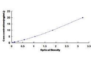 ELISA image for Cathepsin K (CTSK) ELISA Kit (ABIN415921)